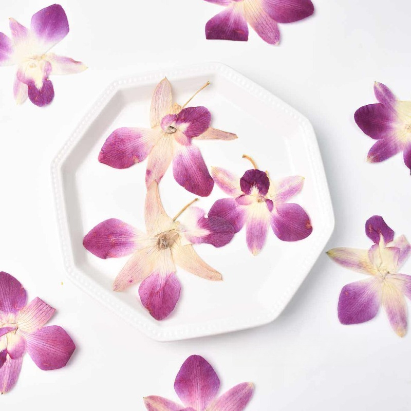 Resin Craft Ideas - 4 adet, Gerçek Preslenmiş Kelebek Orkide