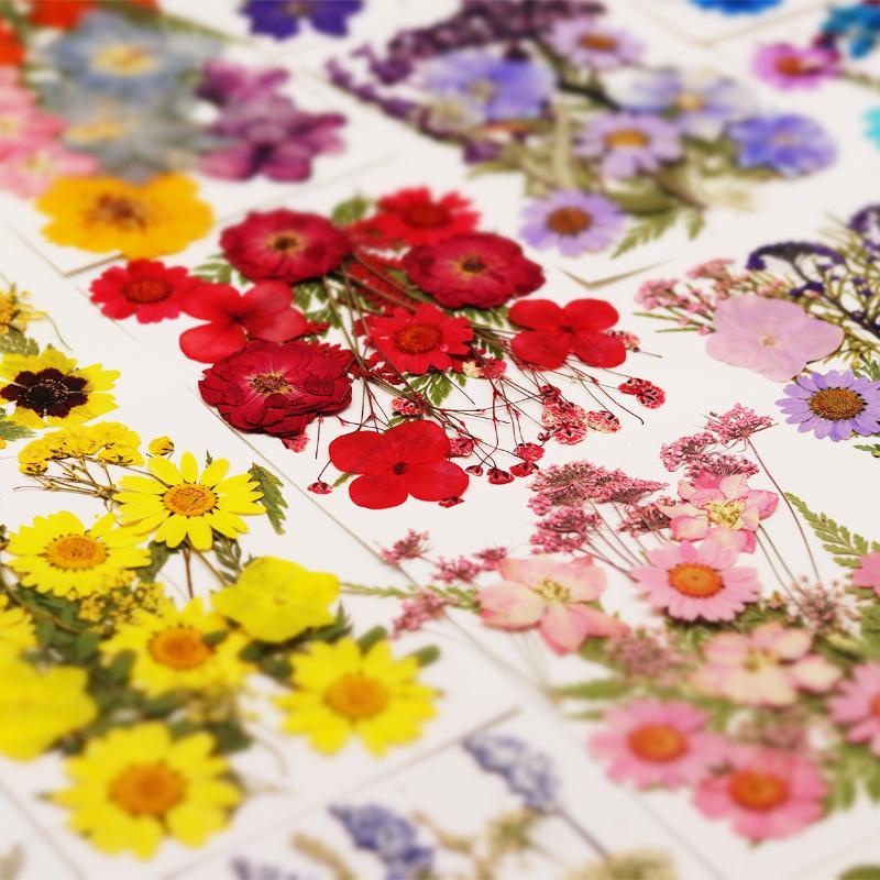 Resin Craft Ideas - Gerçek Doğal Preslenmiş Kurutulmuş Bitki Çiçekleri