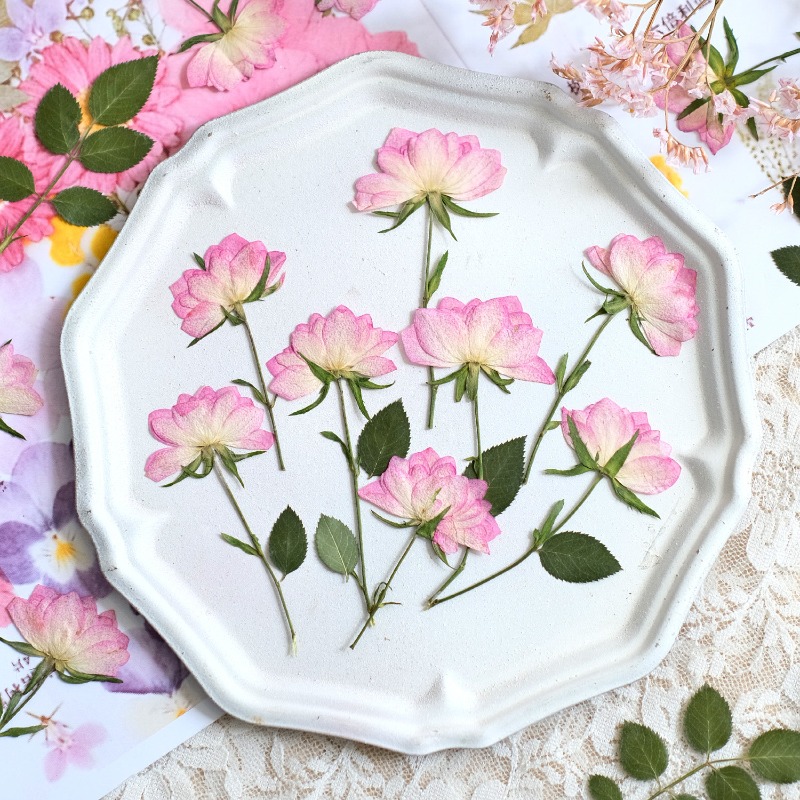Resin Craft Ideas - 12 adet, Telefon Kılıfı DIY Pembe