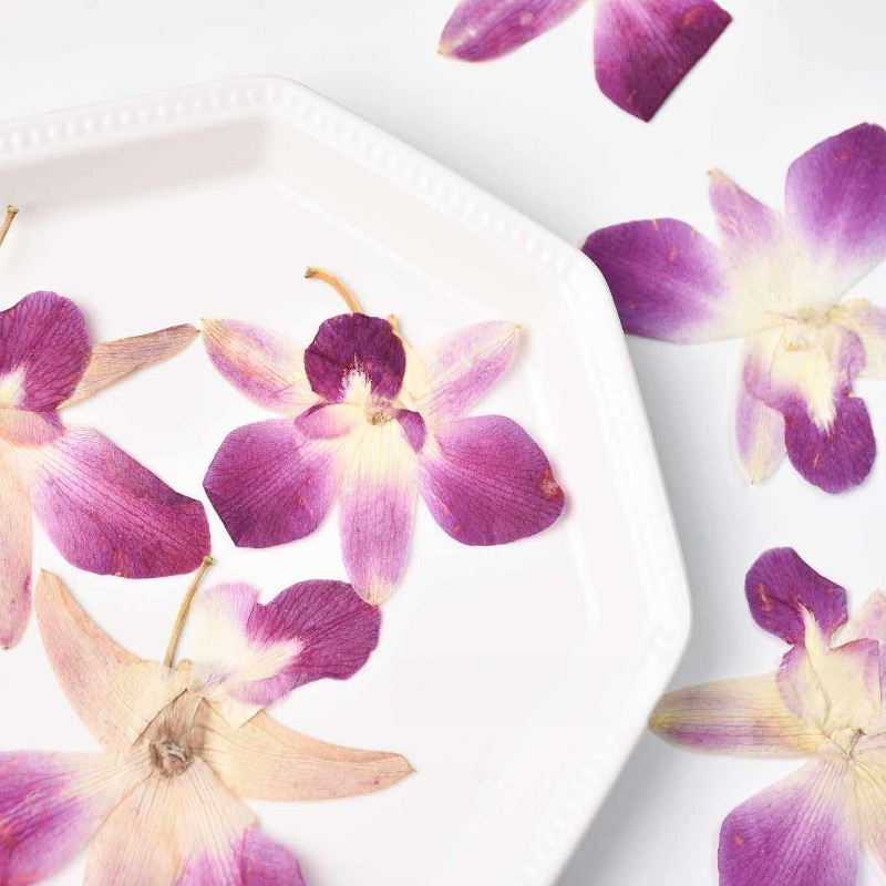 4 adet, Gerçek Preslenmiş Kele - Resin Craft Ideas incelemesi ve fiyatı
