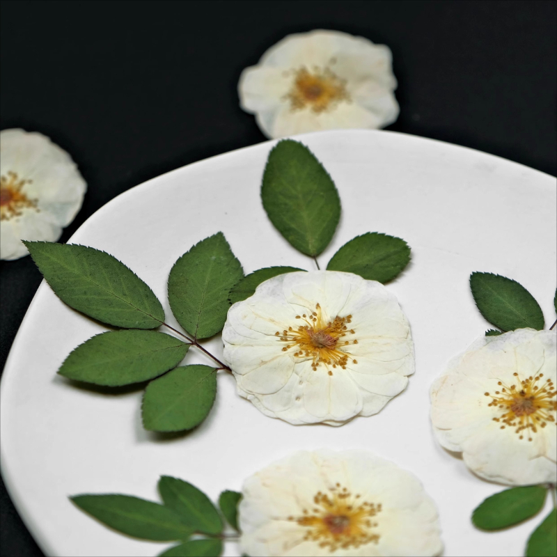 6 adet, 9 adet, Doğal Beyaz Gü - Resin Craft Ideas incelemesi ve fiyatı
