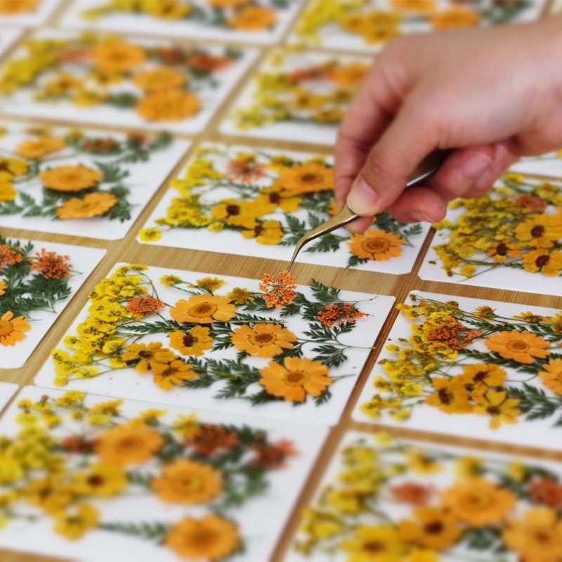 Gerçek Doğal Preslenmiş Kurutu - Resin Craft Ideas incelemesi ve fiyatı