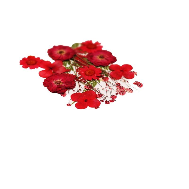 Gerçek Doğal Preslenmiş Kurutu - Resin Craft Ideas incelemesi ve fiyatı