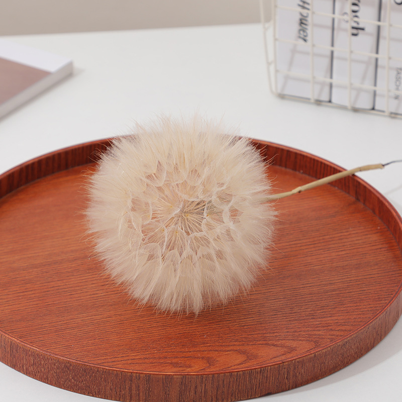 Kurutulmuş Karahindiba DIY Epo - Resin Crafts Diy incelemesi ve fiyatı