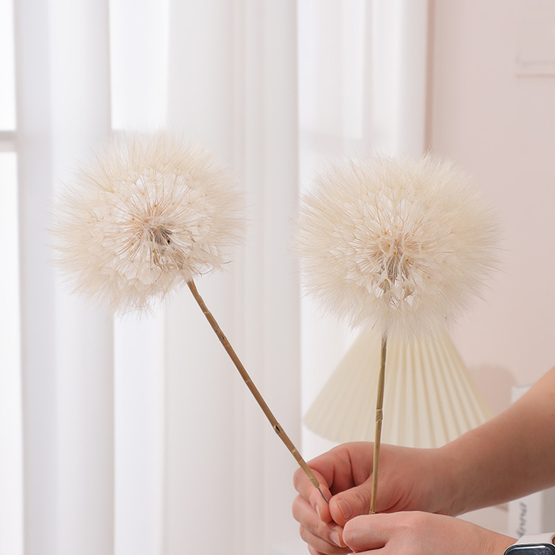 Kurutulmuş Karahindiba DIY Epo - Resin Crafts Diy incelemesi ve fiyatı