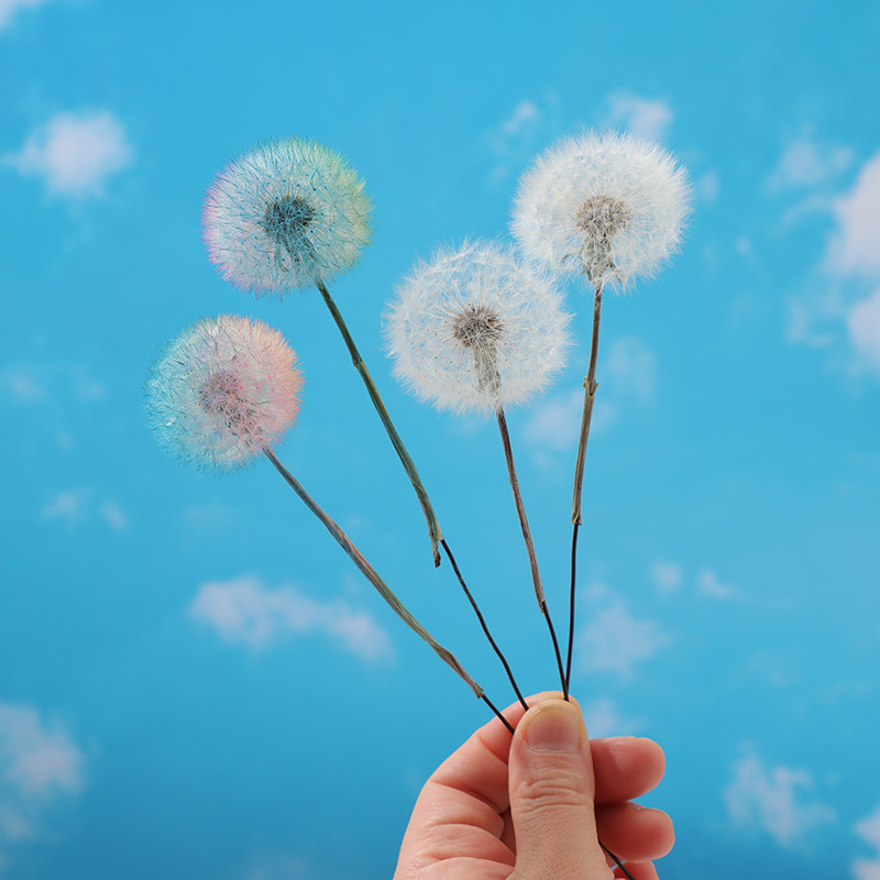 Kurutulmuş Karahindiba DIY Epo - Resin Crafts Diy incelemesi ve fiyatı