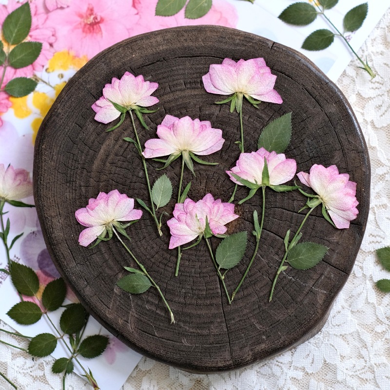 12 adet, Telefon Kılıfı DIY Pe - Resin Craft Ideas incelemesi ve fiyatı