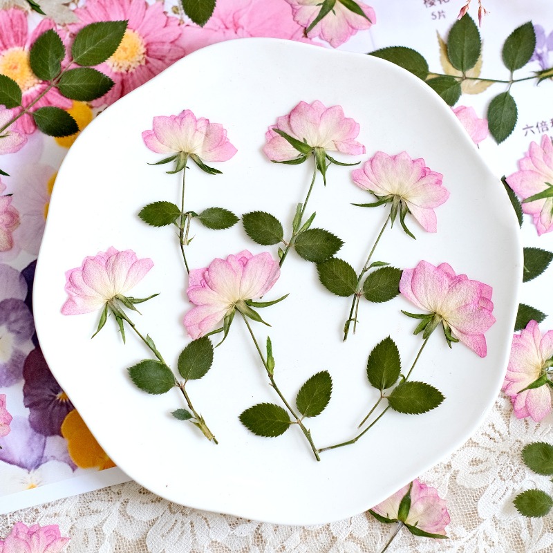 12 adet, Telefon Kılıfı DIY Pe - Resin Craft Ideas incelemesi ve fiyatı