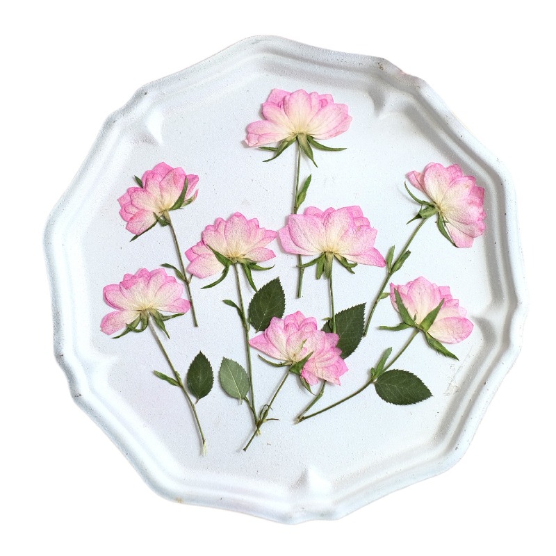 12 adet, Telefon Kılıfı DIY Pe - Resin Craft Ideas incelemesi ve fiyatı